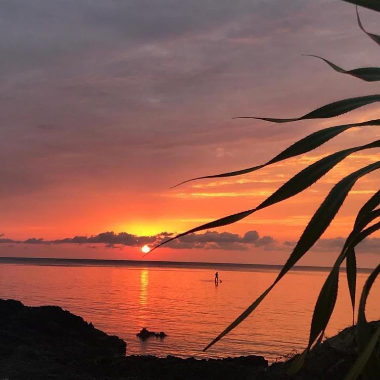 Tropical Surf House Okinawa Otel Onna Dış mekan fotoğraf