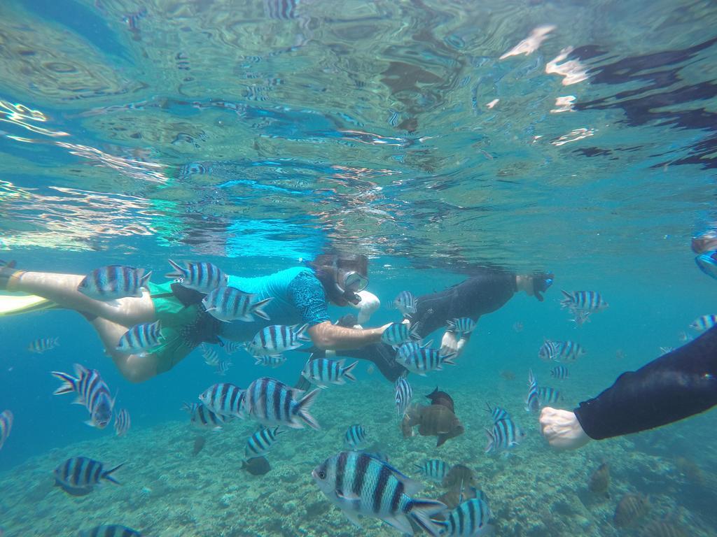 Tropical Surf House Okinawa Otel Onna Dış mekan fotoğraf